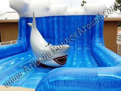 Mechanical shark rental Colorado
